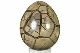 Septarian Dragon Egg Geode - Removable Section #191399-1
